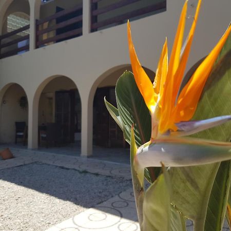 Santo Quintal Hostel Убатуба Экстерьер фото